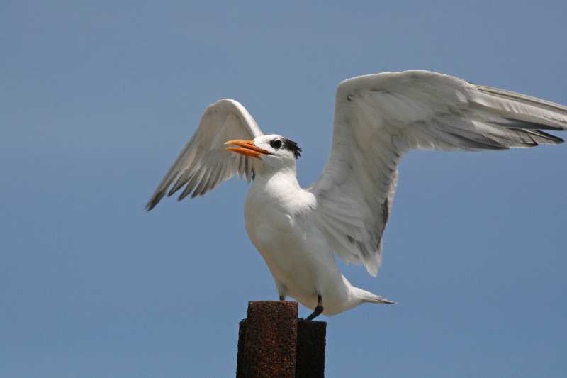 Mexico & Guatemala 2010 - 0992